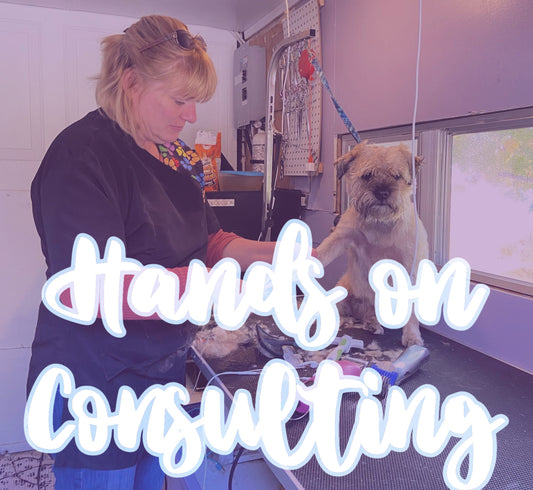 ADD ON PROGRAM: Hands on Consulting with Vanessa